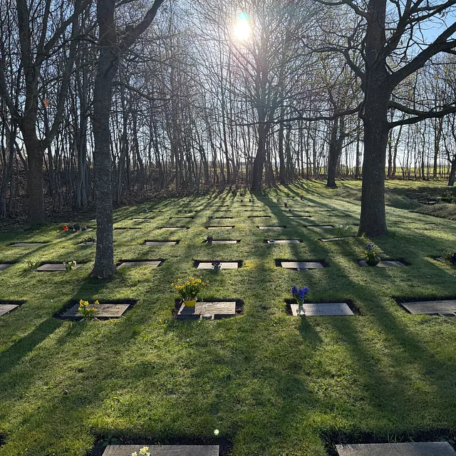 Solopgang på kirkegårdens urnegravsteder