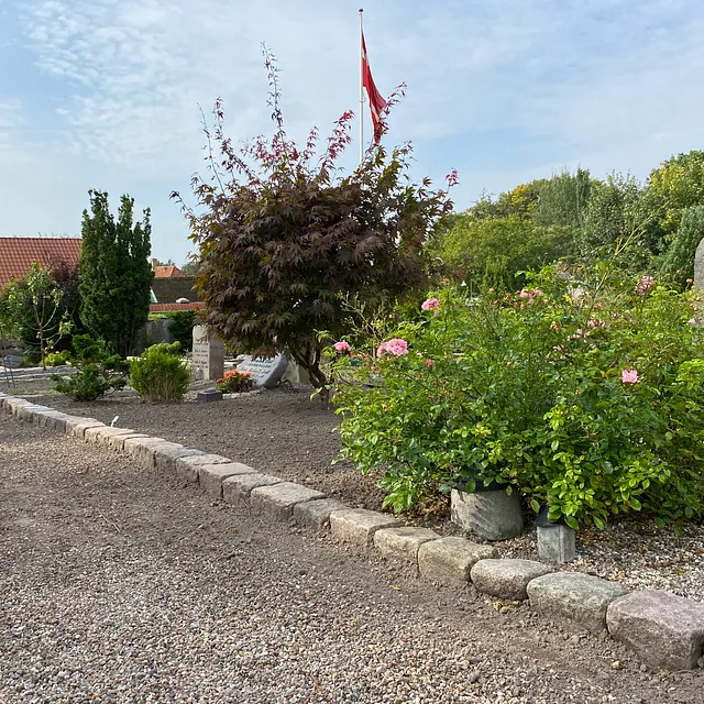 Beplantning på kirkegården ved Sønder Tranders Kirke